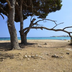 PEJZAŻE ŚWIATŁEM MALOWANE