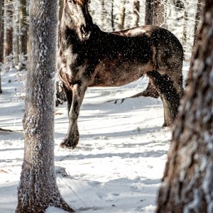 PEJZAŻE ŚWIATŁEM MALOWANE