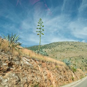 PEJZAŻE ŚWIATŁEM MALOWANE