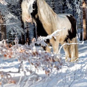 PEJZAŻE ŚWIATŁEM MALOWANE
