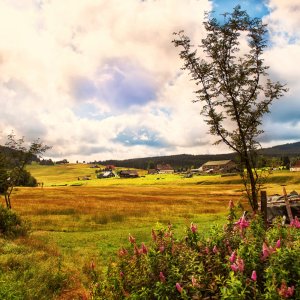 PEJZAŻE ŚWIATŁEM MALOWANE