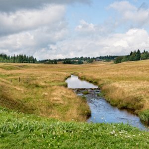 PEJZAŻE ŚWIATŁEM MALOWANE