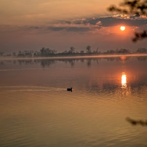 PEJZAŻE ŚWIATŁEM MALOWANE
