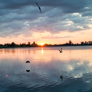 PEJZAŻE ŚWIATŁEM MALOWANE