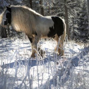 PEJZAŻE ŚWIATŁEM MALOWANE