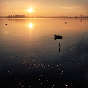 PEJZAŻE ŚWIATŁEM MALOWANE