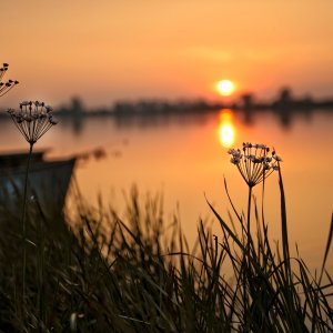 PEJZAŻE ŚWIATŁEM MALOWANE