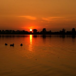 PEJZAŻE ŚWIATŁEM MALOWANE