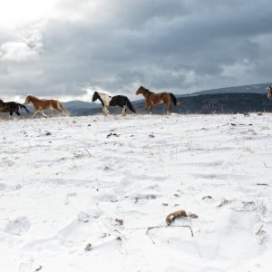 PEJZAŻE ŚWIATŁEM MALOWANE