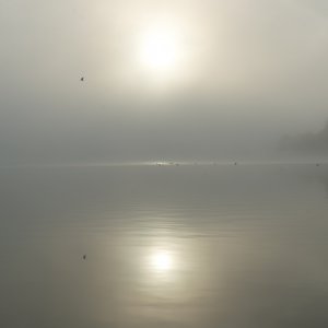 PEJZAŻE ŚWIATŁEM MALOWANE