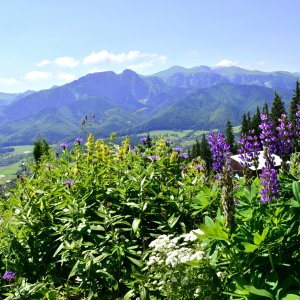 PEJZAŻE ŚWIATŁEM MALOWANE