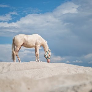 PEJZAŻE ŚWIATŁEM MALOWANE