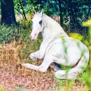 PEJZAŻE ŚWIATŁEM MALOWANE