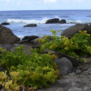 PEJZAŻE ŚWIATŁEM MALOWANE