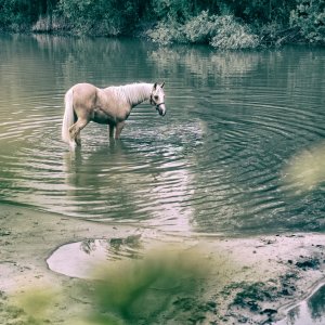 PEJZAŻE ŚWIATŁEM MALOWANE
