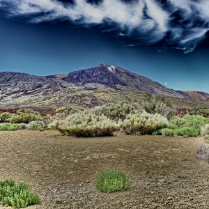 PEJZAŻE ŚWIATŁEM MALOWANE