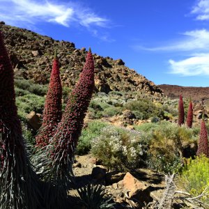 PEJZAŻE ŚWIATŁEM MALOWANE