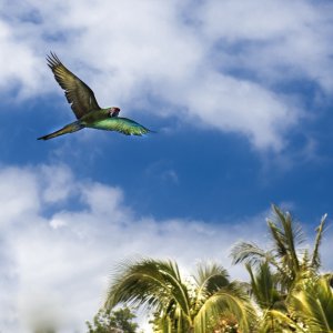 PEJZAŻE ŚWIATŁEM MALOWANE