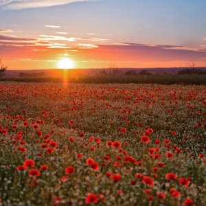 PEJZAŻE ŚWIATŁEM MALOWANE