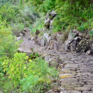 PEJZAŻE ŚWIATŁEM MALOWANE