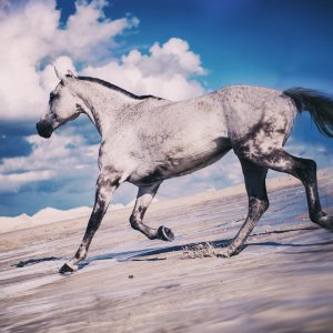 PEJZAŻE ŚWIATŁEM MALOWANE