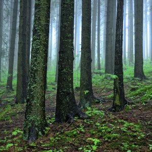 PEJZAŻE ŚWIATŁEM MALOWANE