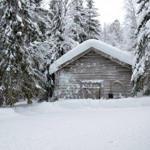 PEJZAŻE ŚWIATŁEM MALOWANE