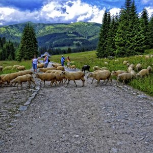 PEJZAŻE ŚWIATŁEM MALOWANE