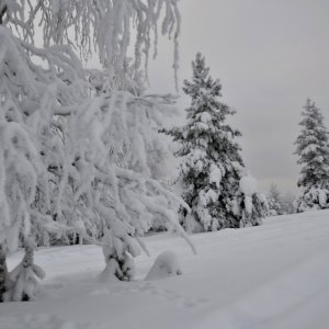 PEJZAŻE ŚWIATŁEM MALOWANE