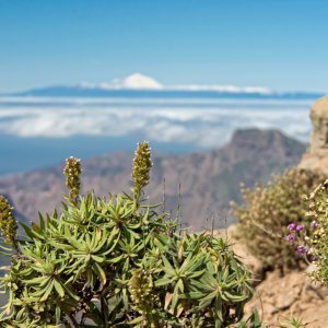 PEJZAŻE ŚWIATŁEM MALOWANE