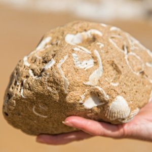 PEJZAŻE ŚWIATŁEM MALOWANE