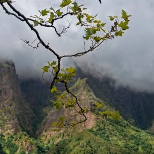PEJZAŻE ŚWIATŁEM MALOWANE