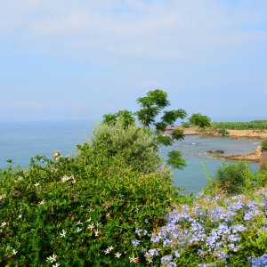 PEJZAŻE ŚWIATŁEM MALOWANE