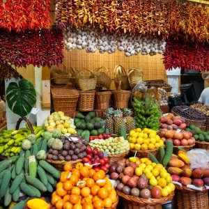 PEJZAŻE ŚWIATŁEM MALOWANE