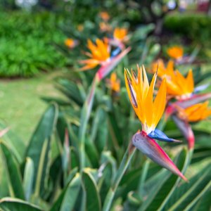 PEJZAŻE ŚWIATŁEM MALOWANE