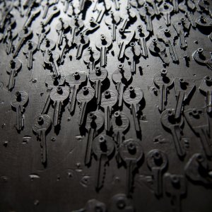 PEJZAŻE ŚWIATŁEM MALOWANE