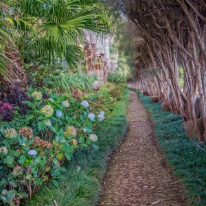 PEJZAŻE ŚWIATŁEM MALOWANE